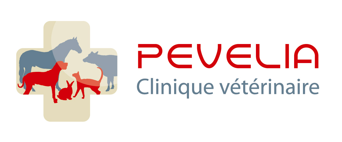 Cliniques Vétérinaires PEVELIA et DES SABLES, Orchies / Flines-lez-Râches